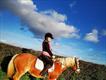 Equestrian Jobseeker Profile Photo
