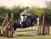 Equestrian Jobseeker Profile Photo