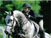 Equestrian Jobseeker Profile Photo