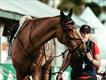 Equestrian Jobseeker Profile Photo