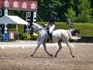 Equestrian Jobseeker Profile Photo
