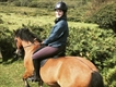 Equestrian Jobseeker Profile Photo