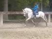 Equestrian Jobseeker Profile Photo