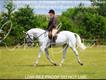 Equestrian Jobseeker Profile Photo