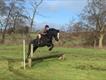 Equestrian Jobseeker Profile Photo