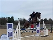 Equestrian Jobseeker Profile Photo