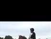 Equestrian Jobseeker Profile Photo