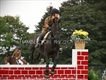 Equestrian Jobseeker Profile Photo