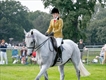 Equestrian Jobseeker Profile Photo