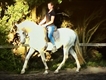 Equestrian Jobseeker Profile Photo