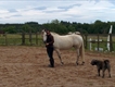 Equestrian Jobseeker Profile Photo