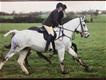 Equestrian Jobseeker Profile Photo