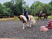 Equestrian Jobseeker Profile Photo