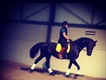 Equestrian Jobseeker Profile Photo