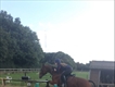 Equestrian Jobseeker Profile Photo