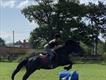 Equestrian Jobseeker Profile Photo
