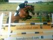 Equestrian Jobseeker Profile Photo