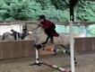 Equestrian Jobseeker Profile Photo