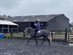 Equestrian Jobseeker Profile Photo