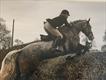 Equestrian Jobseeker Profile Photo