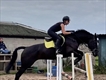 Equestrian Jobseeker Profile Photo