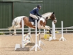 Equestrian Jobseeker Profile Photo