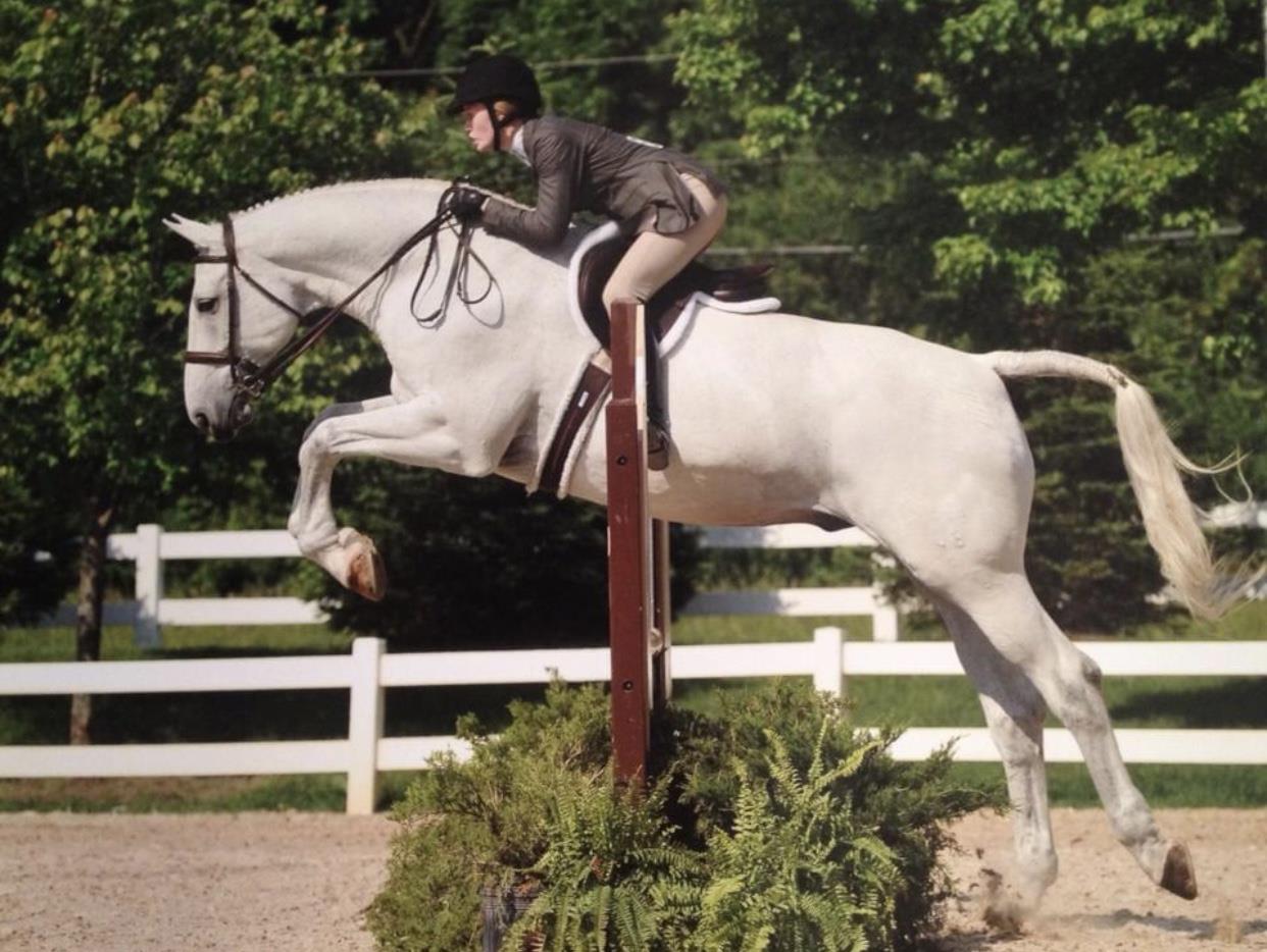 Equestrian Jobseeker Photo: