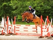 Equestrian Jobseeker Profile Photo