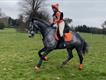 Equestrian Jobseeker Profile Photo