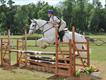 Equestrian Jobseeker Profile Photo