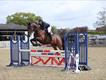 Equestrian Jobseeker Profile Photo