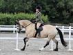 Equestrian Jobseeker Profile Photo