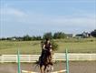 Equestrian Jobseeker Profile Photo