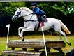 Equestrian Jobseeker Profile Photo