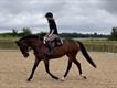 Equestrian Jobseeker Profile Photo