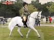 Equestrian Jobseeker Profile Photo
