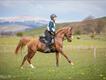 Equestrian Jobseeker Profile Photo