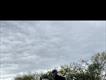 Equestrian Jobseeker Profile Photo