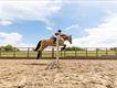 Equestrian Jobseeker Profile Photo