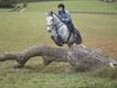 Equestrian Jobseeker Profile Photo