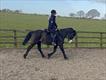 Equestrian Jobseeker Profile Photo