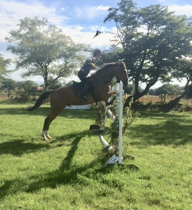 Equestrian Jobseeker Photo: