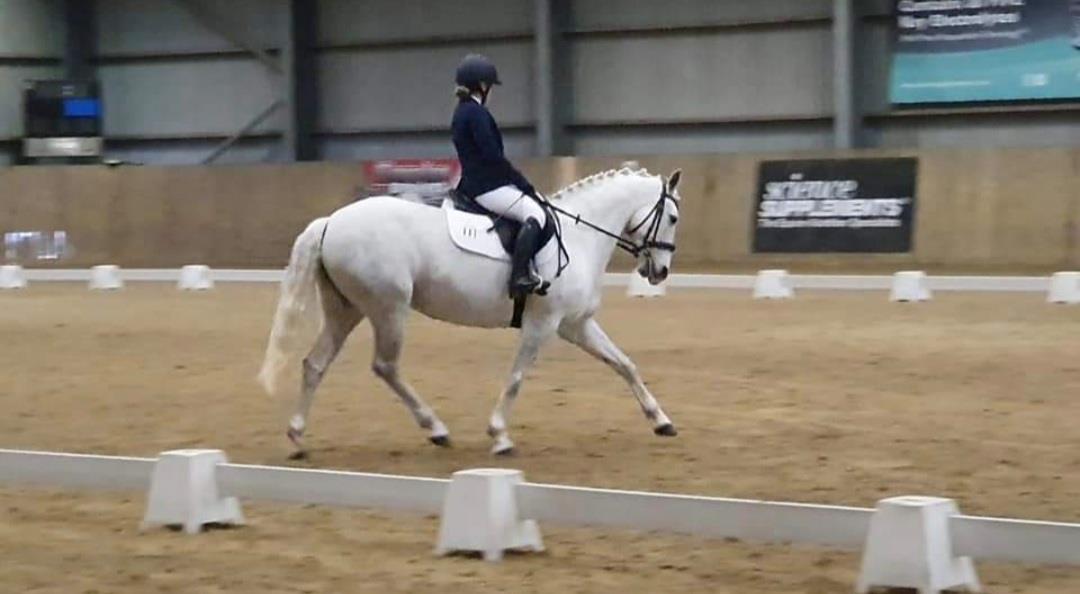 Equestrian Jobseeker Photo: