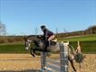 Equestrian Jobseeker Profile Photo