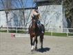 Equestrian Jobseeker Profile Photo