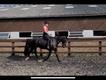 Equestrian Jobseeker Profile Photo