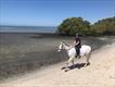 Equestrian Jobseeker Profile Photo