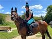 Equestrian Jobseeker Profile Photo
