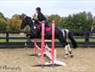 Equestrian Jobseeker Profile Photo