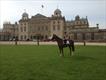 Equestrian Jobseeker Profile Photo